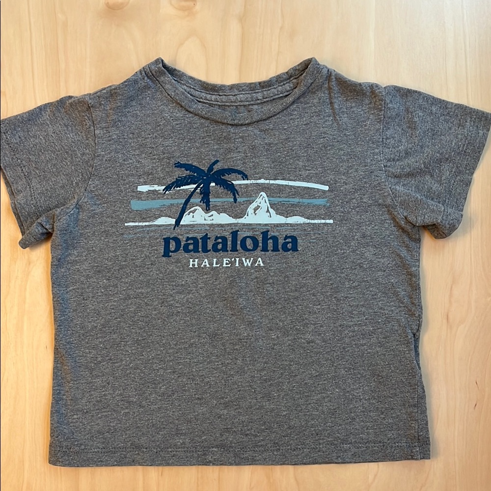 Patagonia Gray and Blue Short Sleeve Tee